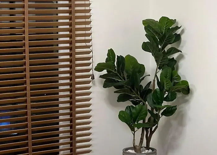 Comfort Elite * Skopje